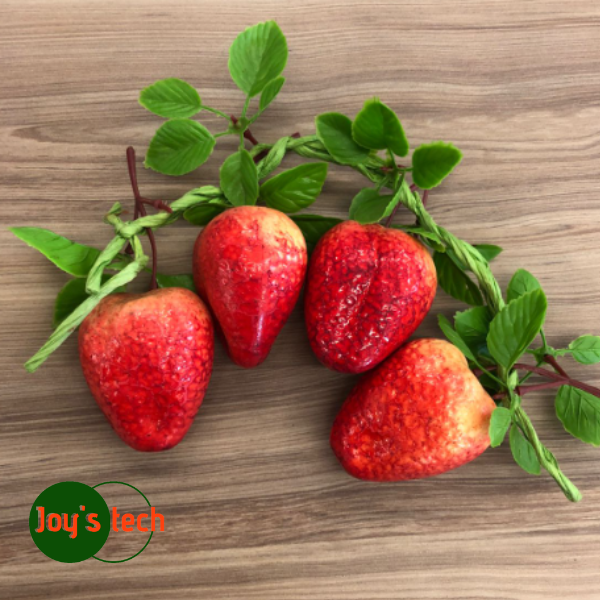 RAMO FRUTA DECORATIVA MORANGO 4UN 10005 SANTLAND